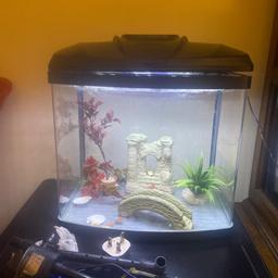 a very good condition fish tan with Led twin light, filter, water pump and decorating sand shell and plastic plants plus others. worth over £70 new.