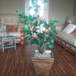 artificial orange plant in excellent condition just used as display...
very nice to use as display its outstanding...
open to sensible offers plz
No refunds or returns accepted....
sold as seen...