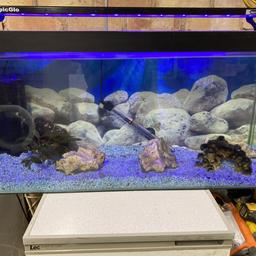 Tropical Fish 150litre tank for sale Complete set up Heater, Filter, Led lighting and rocks included
Collection only. £140 ono

 W D H
Size 3ft x 1ft x 1.5ft