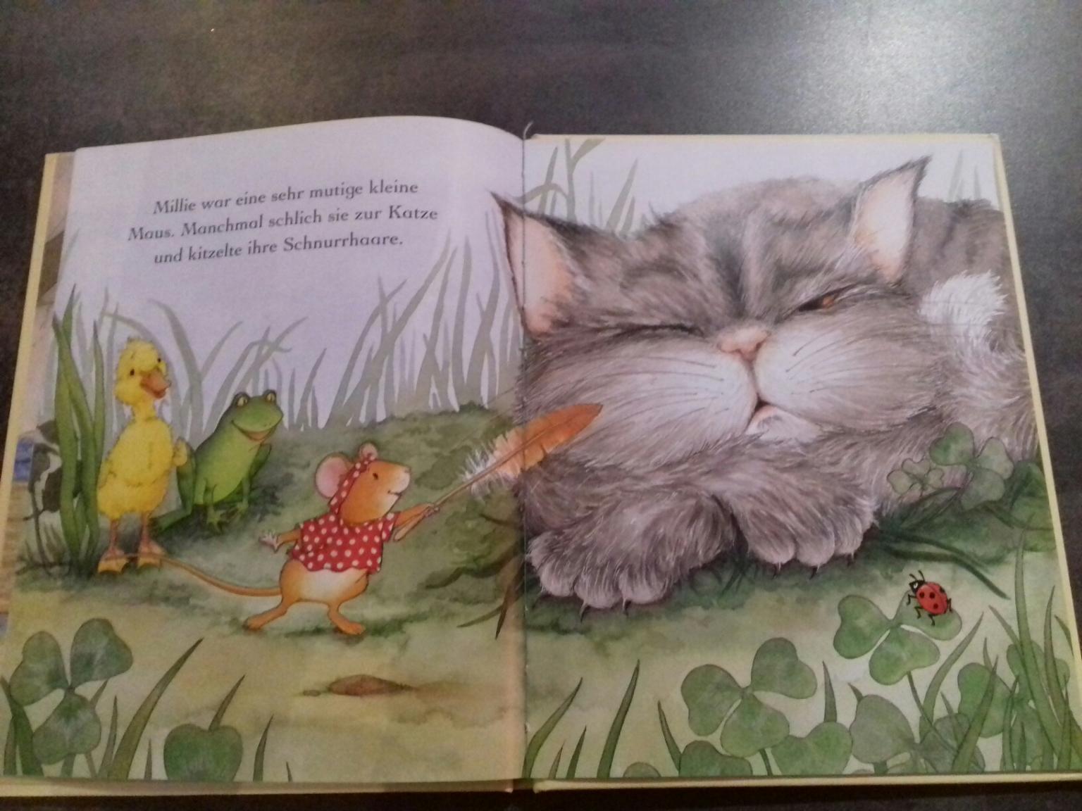Kinderbuch Nimm mich in den Arm! in 4060 Leonding für € 3,00 zum