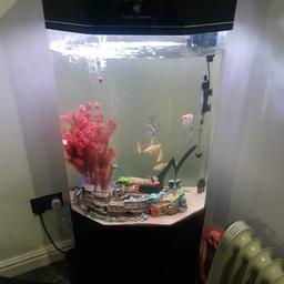 clear aquatics tank 5ft tall and 2ft wide beutiful tank high gloss black in superb condition unique tank and contemporary looks amazing. complete set up with about 12 fish ornaments food filters pump. Very nice set up selling as kids lost interest cost me over £500