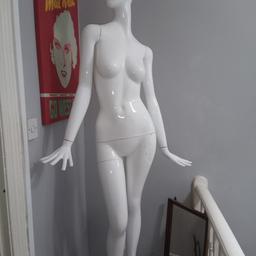 Fibreglass glossy shop mannequin ( Dorothy Perkins). Has been used loads by myself selling clothes. the worse of the dinks are purely cosmetic, doesn't effect use at all. Removable torso, arms and hands and you can manoeuvre one of the legs. It's on a base with the rod going through the calf. Pick up only due to the size xx £30 ono