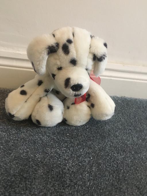 Buy & Sell East London Manor Park - East London - Photos for Cuddly Dalmatian Dog