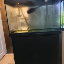 fish tank for sale
75x55x45cm hight with stand 125cm