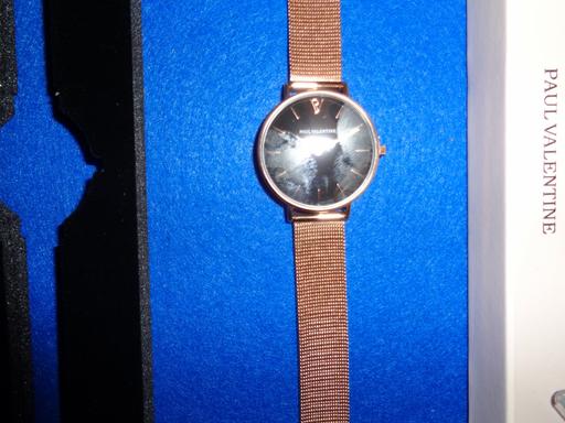 Buy & Sell Torfaen - Wales Hollybush - Torfaen - Photos for paul valentine ladies watch pv 32211 NEW