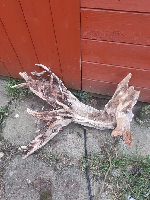 Buy & Sell Lancashire Blackpool - Photos for Bog wood/drift wood pieces £2-£15