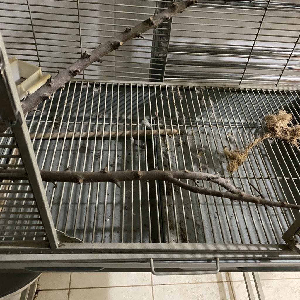 Large bird cage in Walsall für 50,00 £ zum Verkauf Shpock DE