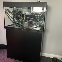 Juwel Rio 125L fish tank for sale

Comes with the following-

Juwel Rio 125L
Matching stand
Ehiem professonel 4 external filter (1050LPH)
Juwel Multilux LED light unit (original unit)
Juwel Helialux LED light unit
Juwel Helialux LED day/night timer
Aqua One air pump
200w heater
Also a poster on back
All in very good condition, well looked after.
It’s had a good wipe over so ready to use
If bought new would be over £700

£250

Collection Gillingham Kent or can deliver locally if fuel is covered