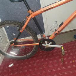 adult bike 
in good working order brakes tyres are like new selling £25