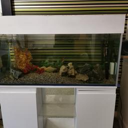 I have a 4ft fish tank and stand with external filter ship plastic plants there is no heater so you will have to purchase one it was all up and running today but emptied it to put stock in my 5ft tank
£150 unless collected today then £100
Today been 21/02/2021
After this date then £150