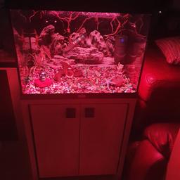 Selling this lovely looking fish tank with matching stand, internal filter, Heater, Gravel, Colour changing Led light, Background paper
Size: 2ft Wide, 4ft height with stand
May deliver for fuel
Msg me if you want ask 
Thank you