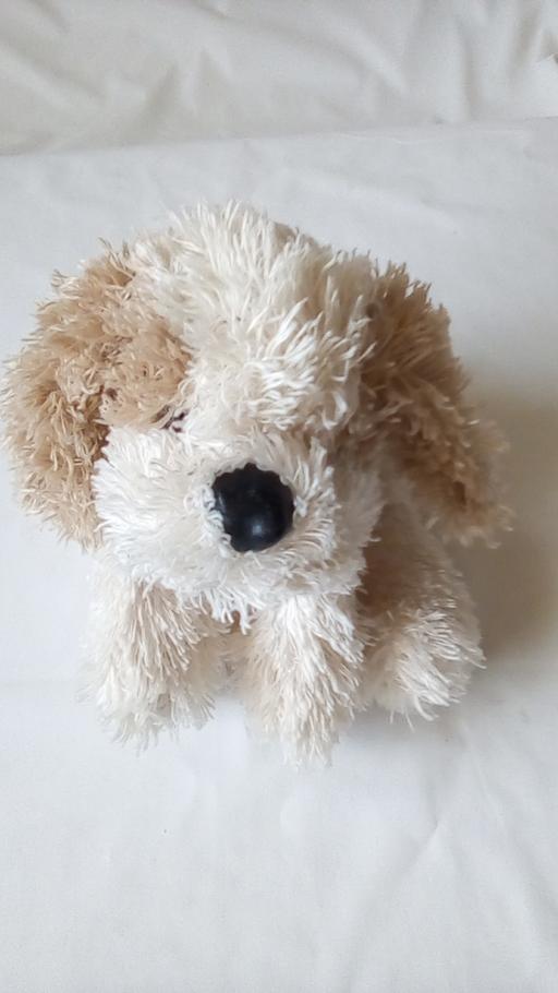 Buy & Sell Pembrokeshire - Wales Pantygrwndy - Pembrokeshire - Photos for soft toy