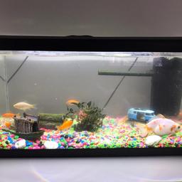 Fish tank with light... filter... decoration and Fish included great condition