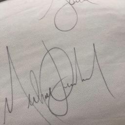 Pillow federal Adlon Hotel in Berlin signed by Michael Jackson himself and launched to the crowd underlying in 2002