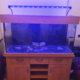 Selling this beautiful design Aqua Oak fish tank and cabinet, Come with Aqua one Ocellaris 850 External filter with all pipes and media, 300w Heater, Aqua one Led light with day and night option. Glass cleaner, Background paper. Very heavy will need at least 2 people and a van or big car to pick up

Size: 5ft height and 4ft Wide
Msg me for any question

May deliver if its local for fuel
Thank you