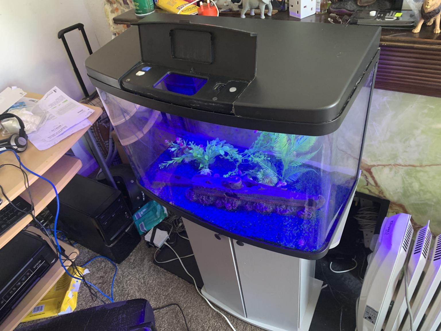 Love Fish Panorama Tank 64 Litre fish tank in SE9 Bromley for £85.00 for sale Shpock