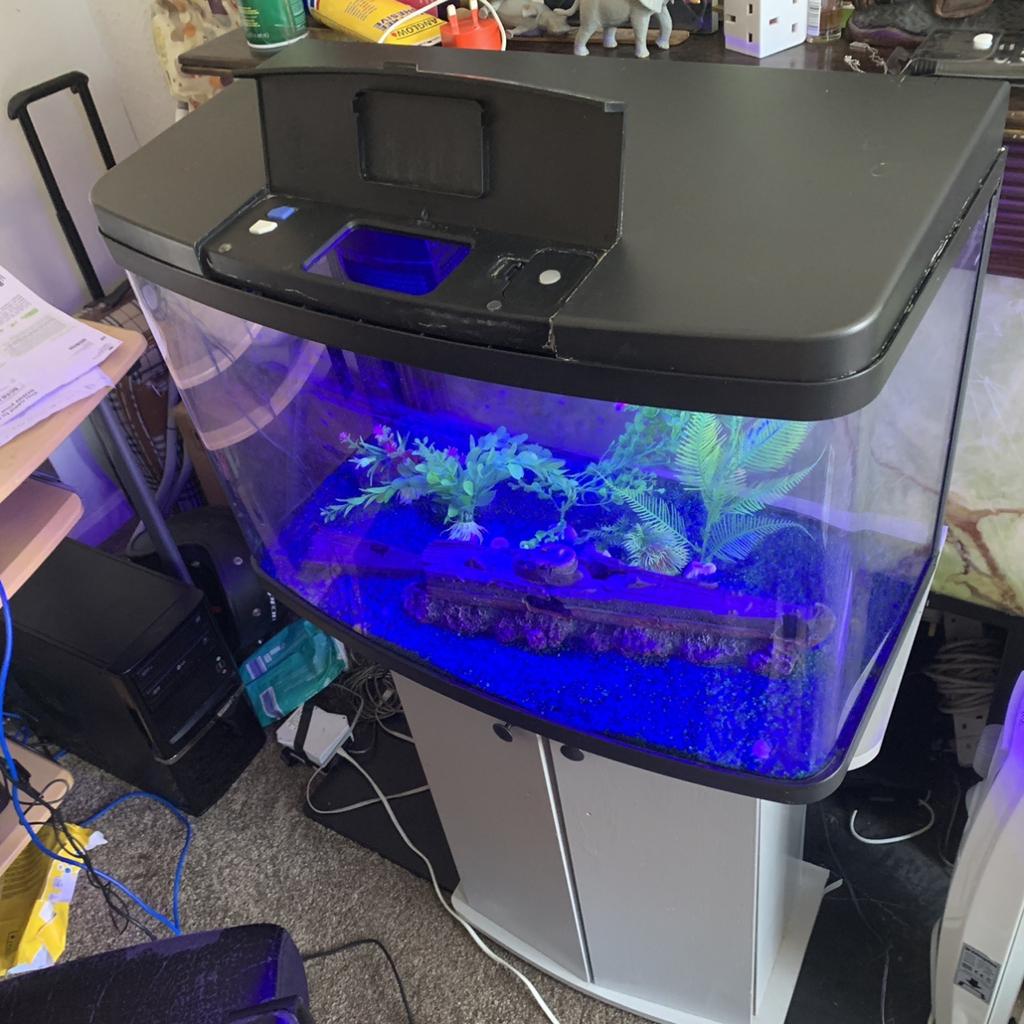 Love Fish Panorama Tank 64 Litre fish tank in SE9 Bromley for £85.00 for sale Shpock