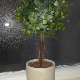 mini tree
artificial
perfect for any room
brand new
collection only
