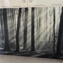 Large Canvas Print Forest/Woodland
Within perfect condition. Selling due to decor change.
Sizes: 118cm x 80cm

Collection from B63 area
Happy to deliver with a small additional cost
Open to offers