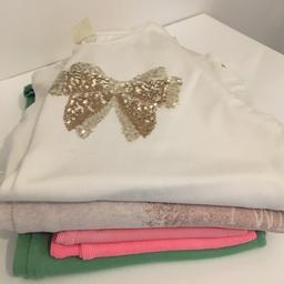 Cream long sleeve top with gold bow on from Zara
Beige jumper with glittery motif on front from Zara
Green cardigan from Zara and two bright pink vest tops.
All age 11-12