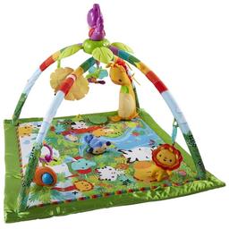 Rainforest music and lights gym. Removable toys, machine washable. 

Pet free & smoke free home. Collection available