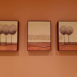2 sets of trio wall wooden box frame pictures
Autumnal tones 12" x 9.5" x 2"
£20 each or both for £35
collection oakworth
