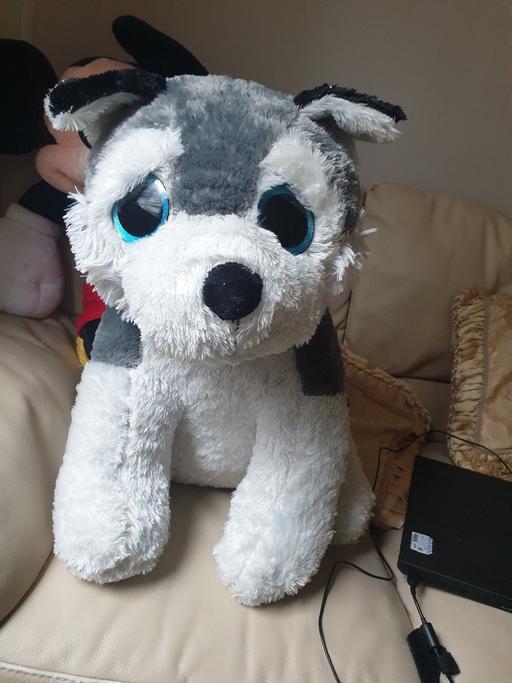 Buy & Sell Cardiff Cyncoed - Cardiff - Photos for biggest fluffy dog soft toy