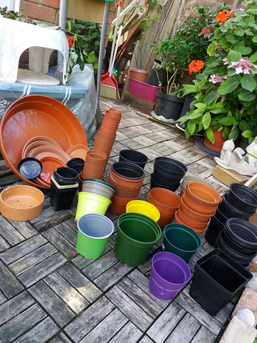 Buy & Sell East London Manor Park - East London - Photos for Flower Pots