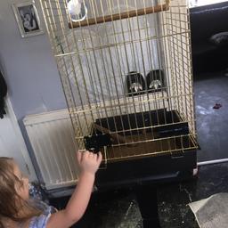 Cage and Bruce selling as kids are not interested in him anymore and his such a lovely bird his only young