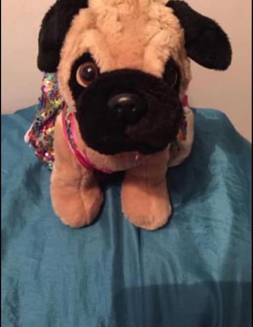 Buy & Sell Essex Chelmsford - Photos for Build a bear dog and outfit