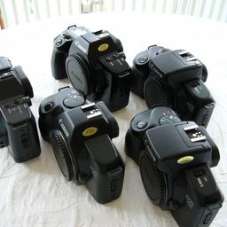 5 X Spiegelreflex Canon EOS 600/650/700/750/850 Sammlung TOP Zustand - Kameras.
Hallo, hier biete ich aus meiner Sammlung 5 Stück Canon EOS 600/650/700/750/850 Spiegelreflexkamera in sehr gutem Zustand an.
Als Zugabe gibt es jeweils:
1 x Gurt ( gut )
KEIN PAYPAL
Versandkosten 7,- €