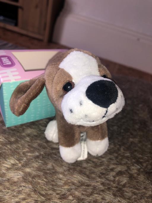 Buy & Sell Merseyside Sefton - Photos for Daisy Dog Teddy Small