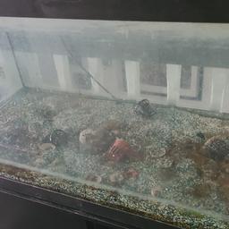 large fish tank in okish condition. lights do work but would need fixing( see pics).
come with some ornaments and fake plants and gravel I the bottom of the tank.
no filter
no heater
can come with a black cupboard if required. 
open to sensible offers. 