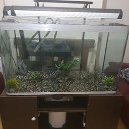 Full tropical set up, External filter, 300w heater, 2 hanging light units, Gravel, Ornaments
Size: 150cm height with stand 100cm Wide
45cm Depth

May deliver for fuel