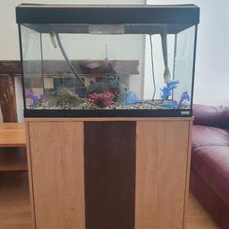 Fluval Roma 125 fish tank and stand 
Size: 122cm heigth with stand, 80cm wide 35cm depth

May deliver for fuel