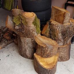 Verschenke Brennholz Hartholz Kirsche...in Garage trocken gelagert , Ausserdem anderes Brennholz (siehe Bild 2)  Parken direkt vor dem Holz möglich.  😊