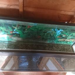 3 FOOT  BARE TANK.     ON UNIT.   NO LIGHTS OR ACCESSORIES.       IDEAL FOR FISH ROOM      QUARANTINE.   OR BRINGING ON FRY.     3 FOOT LONG BY 15 INCH TALL 12 INCH FROM FRONT TO BACK.    /////  30 QUID. ///     CONSETT.  COUNTY DURHAM.     DH8 8AS
