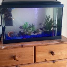 Selling my beautiful fish tank shame to see go
Haven’t got the time so clean all 4 tanks I already have
Measurements are on the pictures
2ft width
1ft length
Depth 14cm
Comes with
Heater
Filter
Air hose/ball shown in pics
No air pump
Light works perfectly on of manually
Blue gravel also shown in tank
No fish
Plastic plants also
And ocean rock
Already empty and ready to go!!
Can deliver local but for fuel charge

Minimal signs or wear and tear nothing major at all 
Water tight 💯
Excellent tank 