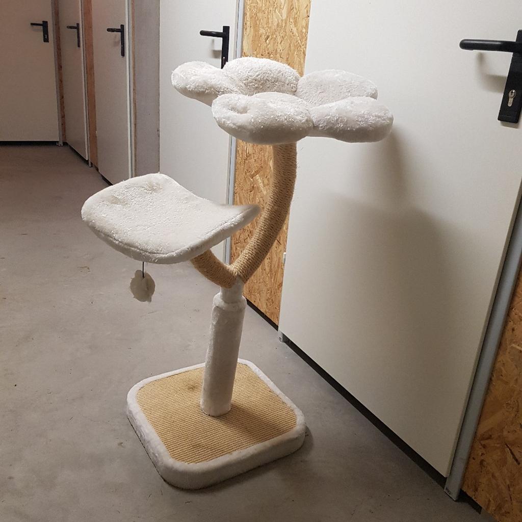 Kratzbaum Blume in 6973 Gemeinde Hchst fr 20,00  zum Verkauf | Shpock DE