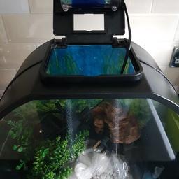 comes built in touch light and 2 bags of white gravel 1 bag of stones 1 x heater 1 x filter 2 x plants. grab a bargin upgraded to larger tank. rep 125.00 grab yourself or family a bargin. collection only please.