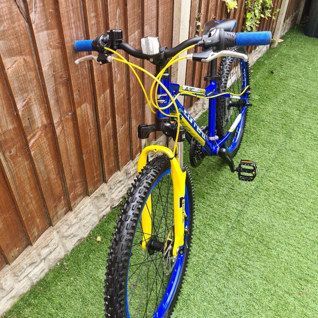 Blue and yellow carrera bike online