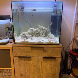 This tank comes with lights, heater, filter, sand, and a cabinet