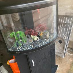 good used condition i’d say roughly 100 litre complete with lid light internal filter gravel and few tank decorations/fake plants all u need is water