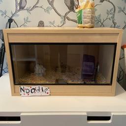 Used for my hamster but no longer needed. Previously a vivarium, could be turned back to vivarium 
Great condition. Glass sliding doors 
Perfect for any small pets