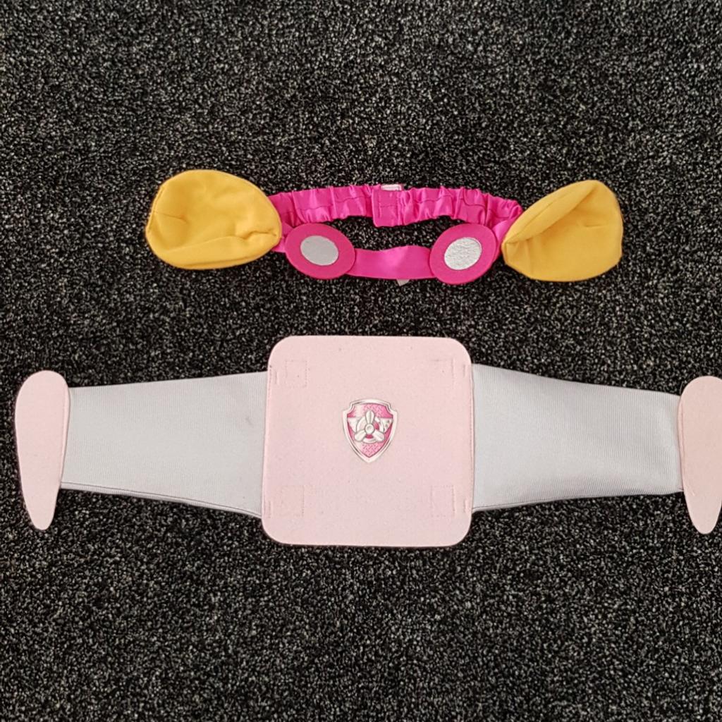 Skye Paw patrol dress in BD20 Bradford für 5,00 £ zum Verkauf Shpock DE