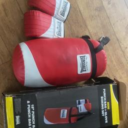 Kids 18” mini punch bag and mitts

Collection from ST5 area.