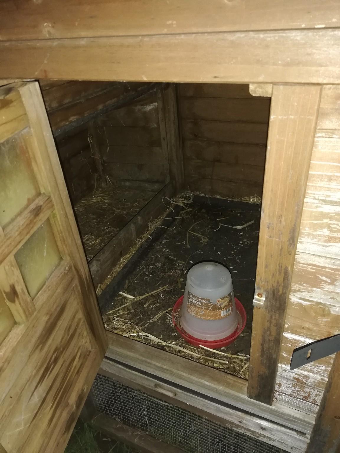 chicken coop in S2 Sheffield für £ 50,00 zum Verkauf Shpock AT