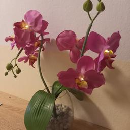 Orchidee Vase
Vase 18cm Durchmesser 14.5cm H gesamt 48cm
Mit LED Beleuchtung AA Batterie und Timer
