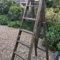 Garden ladder