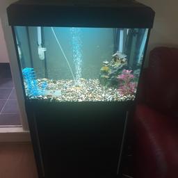 Fluval roma 90 complete set up comes with Fluval U3 filter, heater, led light lid and gravel
Selling due to upgraded
May deliver 
Msg for more info
Thank you